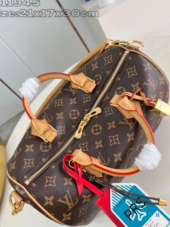 WIS Speedy 30 Vuitton Louis Soft Crafty 0211